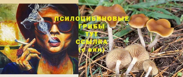 стафф Абаза