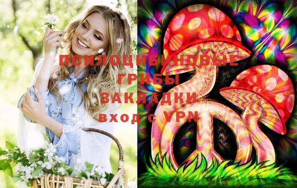 мяу мяу мука Абдулино