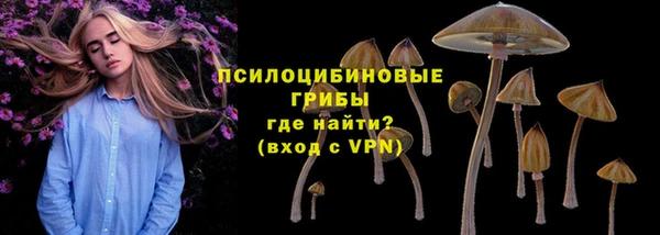 мяу мяу мука Абдулино