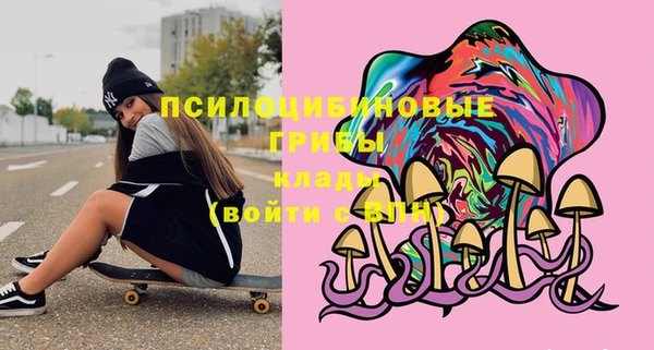 стафф Абаза