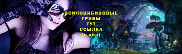 стафф Абаза