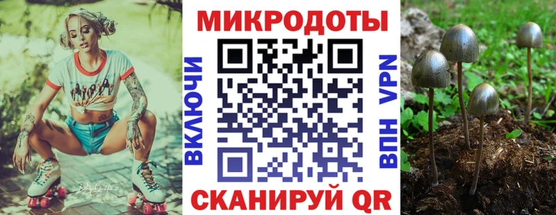 Псилоцибиновые грибы Magic Shrooms Тимашёвск